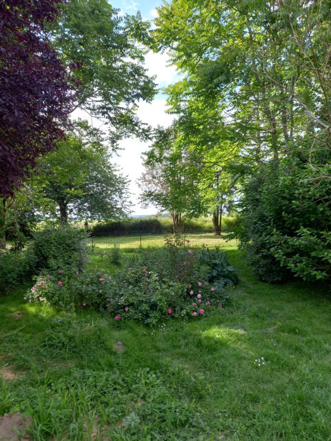 Chez Noelle Bed & Breakfast Illiers-Combray Exterior photo